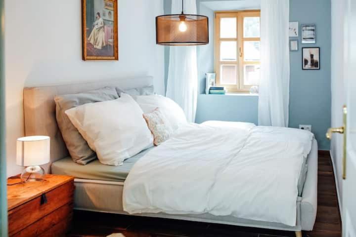 Apartment Aussee- Beletage Salzherrenhof- Kueche, Wlan, Netflix Bad Aussee Exterior foto